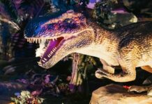 Dinosaurios de tamaño real: abrió en Buenos Aires la impactante experiencia de Jurassic World