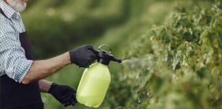 ANMAT prohibió todos los productos de la marca Clean Lab: limpiadores, insecticidas y aromatizantes
