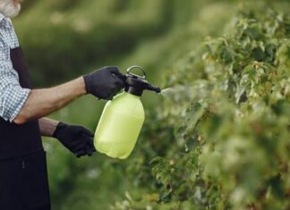 ANMAT prohibió todos los productos de la marca Clean Lab: limpiadores, insecticidas y aromatizantes