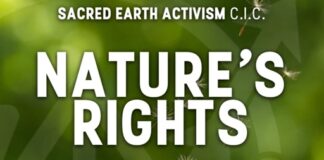 Impulsan una ceremonia mundial para respaldar una ley que reconoce los derechos de la naturaleza