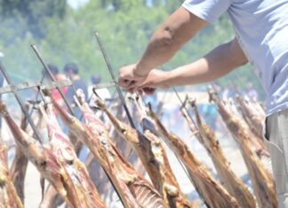 El chivito criollo neuquino buscará abrir nuevos mercados en la Exposición Rural de Palermo