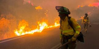 España: un devastador incendio en Almería dejó al menos 12 muertos