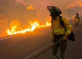 España: un devastador incendio en Almería dejó al menos 12 muertos