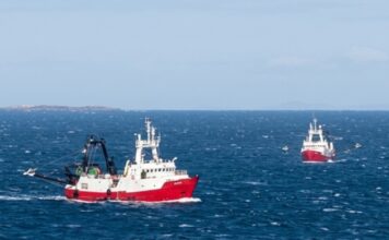 Hallaron sin vida al marinero que había caído al mar en aguas del Atlántico Sur