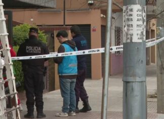Una nena de 8 años vio por las cámaras el femicidio de su mamá en Villa Devoto