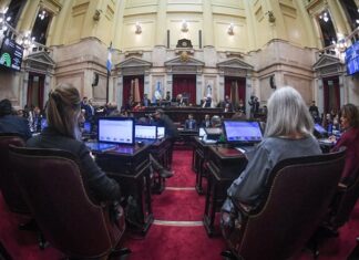 El Senado aprobó en general la Ley de Inviolabilidad de la Propiedad Privada y define los artículos en particular