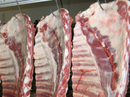 Neuquén: el asado bajó 18% y ya cuesta menos que la carne picada