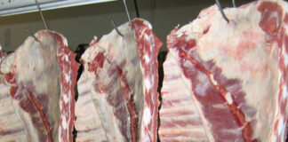 Neuquén: el asado bajó 18% y ya cuesta menos que la carne picada