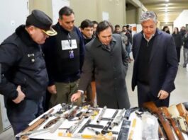 Figueroa: «Un Neuquén más seguro es un Neuquén con menos armas»