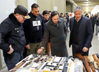 Figueroa: «Un Neuquén más seguro es un Neuquén con menos armas»