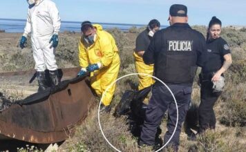 La Justicia investiga la muerte de un perro hallado en una pileta con petróleo en Comodoro Rivadavia