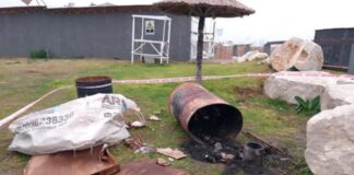 Horror en Mar del Plata: salió a una supuesta entrevista laboral y apareció asesinada