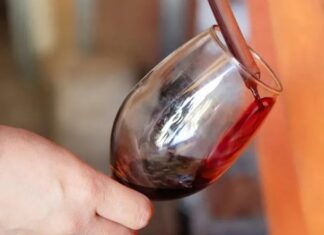 Neuquén busca convertir al Pinot Noir en una cepa emblema de la provincia