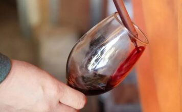 Neuquén busca convertir al Pinot Noir en una cepa emblema de la provincia