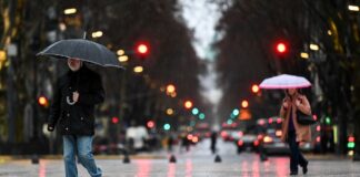 El Niño puede modificar las lluvias en Argentina, pero no permite anticipar cada fenómeno extremo