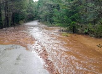 Temporal en Neuquén: hay rutas cortadas y accesos afectados en el sur provincial