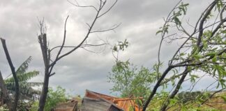 Un agricultor murió tras el temporal que golpeó a Misiones y dejó más de 150 familias afectadas