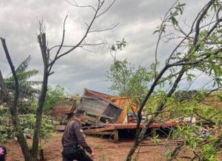 Un agricultor murió tras el temporal que golpeó a Misiones y dejó más de 150 familias afectadas