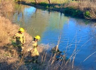 Encontraron sin vida a Gian, el nene de 4 años que cayó a un desagüe en Fernández Oro
