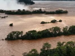 El Niño cambia el mapa de lluvias: qué regiones de Argentina sentirán más sus efectos
