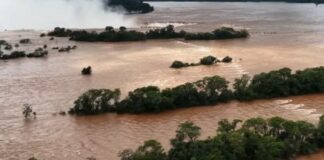 El Niño cambia el mapa de lluvias: qué regiones de Argentina sentirán más sus efectos