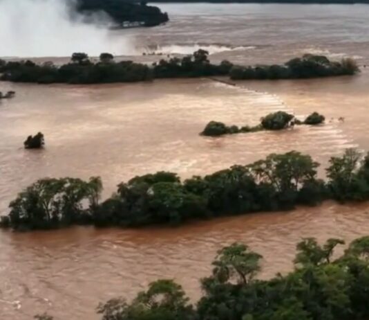 El Niño cambia el mapa de lluvias: qué regiones de Argentina sentirán más sus efectos