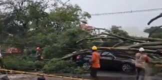 Un árbol cayó sobre el auto de un exjugador de San Lorenzo durante una tormenta en Colombia