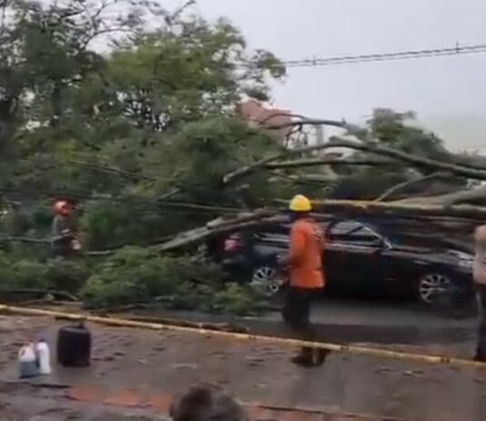 Un árbol cayó sobre el auto de un exjugador de San Lorenzo durante una tormenta en Colombia