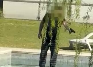 Maltrato animal en Nordelta: filmaron a un hombre disparando contra carpinchos